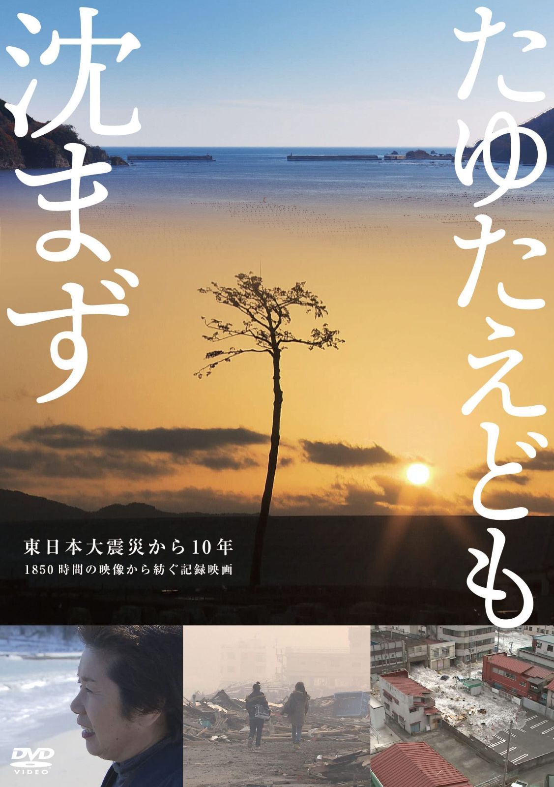 たゆたえども沈まず [DVD] 7,045円