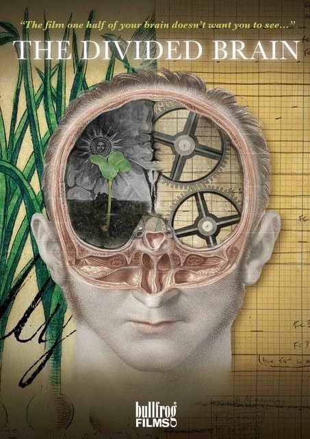 Divided Brain [DVD]