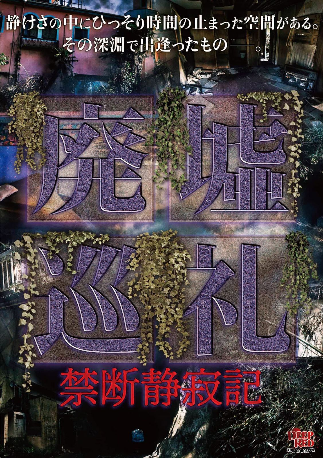 廃墟巡礼 禁断静寂記 [DVD]