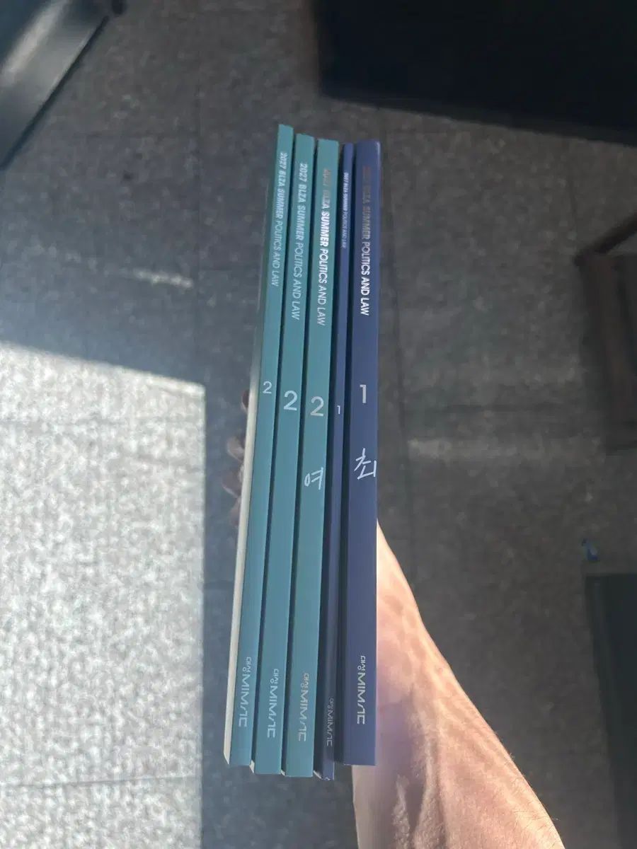 レディース夏 政治と法 BLZA1 2 개념+既出編