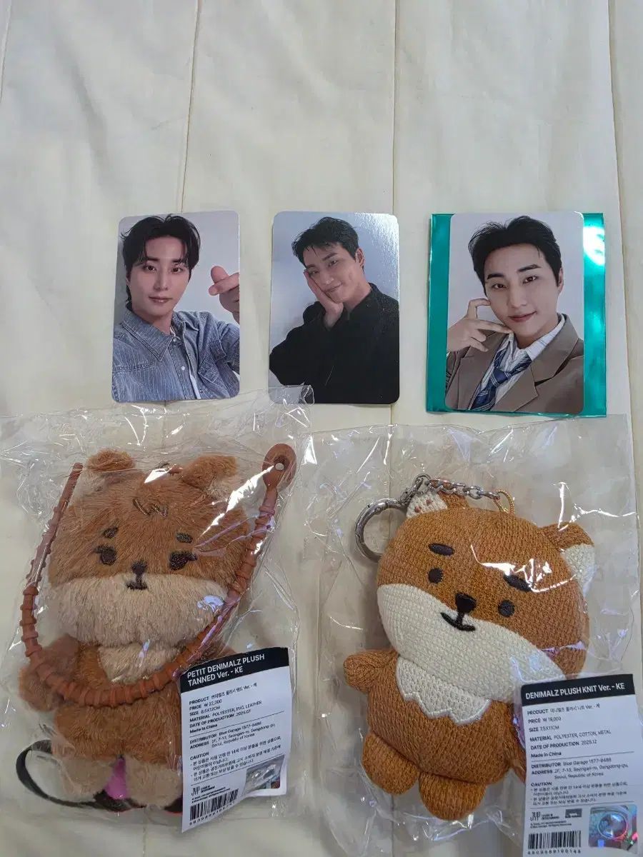 DAY6 ヨンケイ　ぬいぐるみ DAY6 ヨンケイ ぬいぐるみ DAY6 ヨンケイ ぬいぐるみ SOFT TOY BADGE