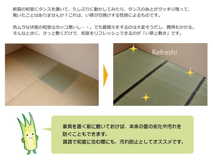 い草 上敷 カーペット 清正 352×352cm 江戸間8畳 い草 カーペット