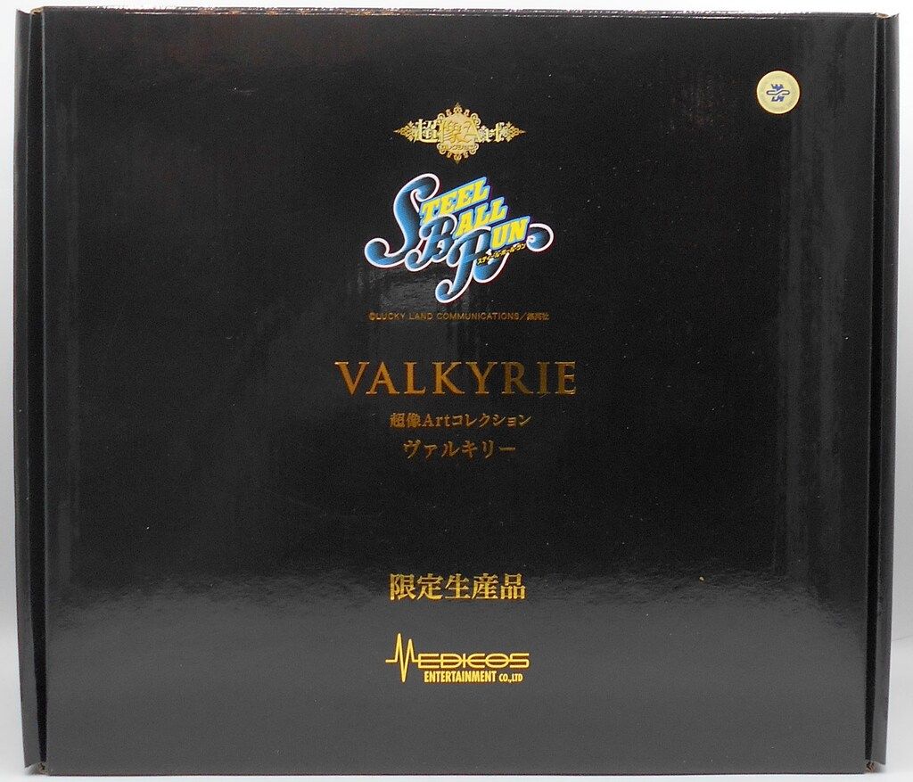 メディコス 超像Artコレクション ヴァルキリー