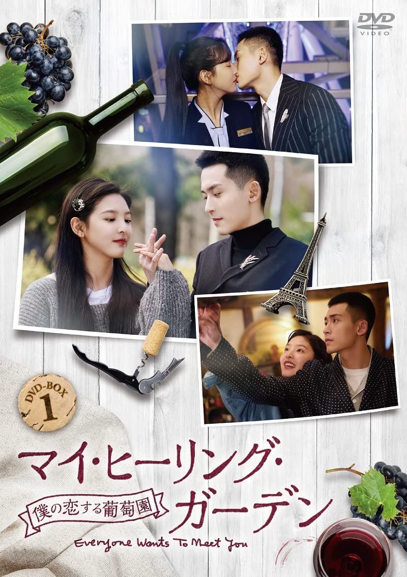 マイ・ヒーリング・ガーデン~僕の恋する葡萄園~ DVD-BOX1