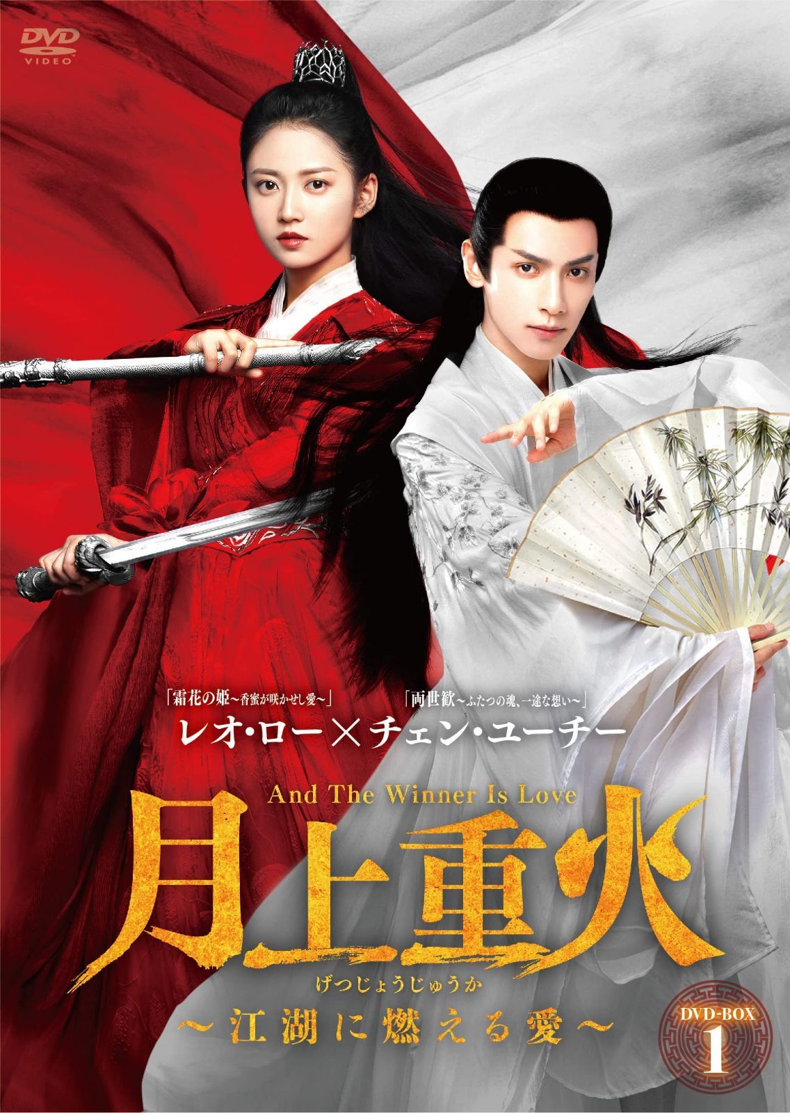 月上重火~江湖に燃える愛~ DVD-BOX1