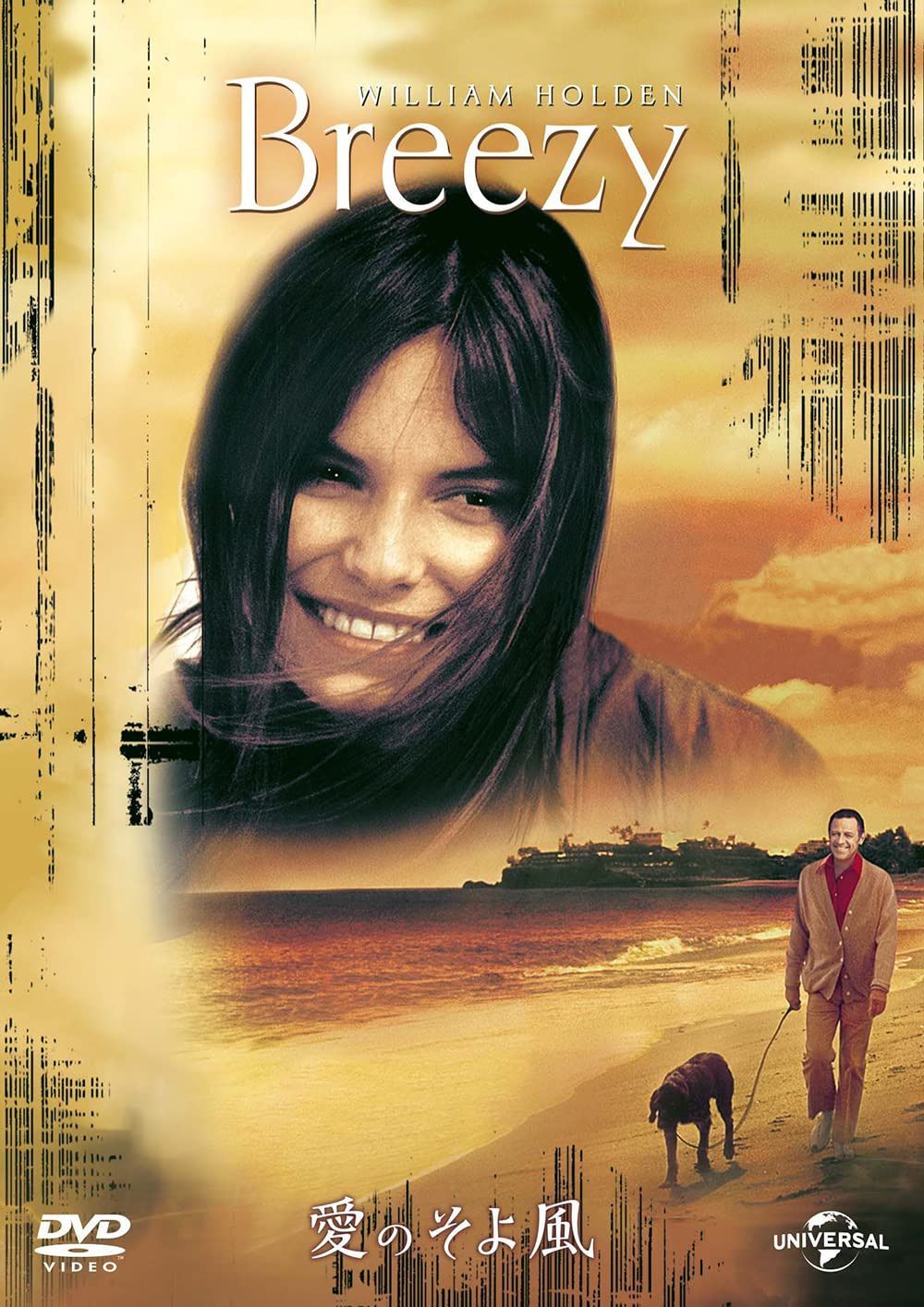 愛のそよ風 [DVD] 7,106円