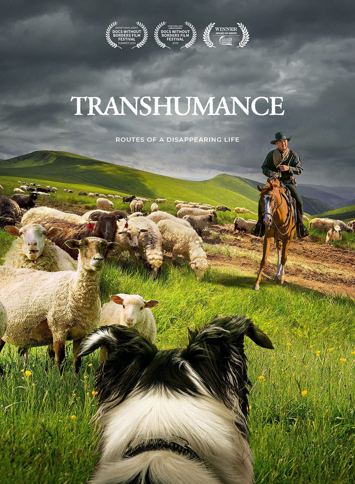 Transhumance: Routes To A Disappearing Life [DVD]