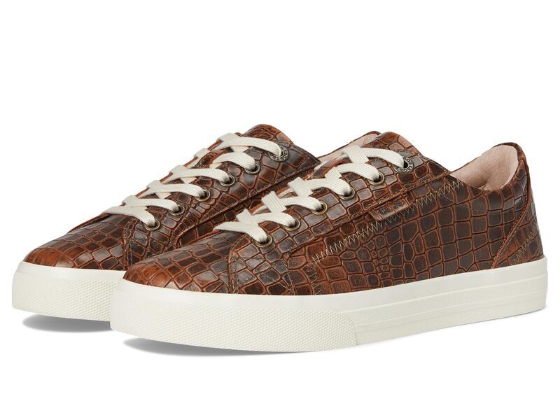タオスフットウェア レディース シューズ スニーカー Taos Footwear Plim Soulux Brown Croco ブラウン