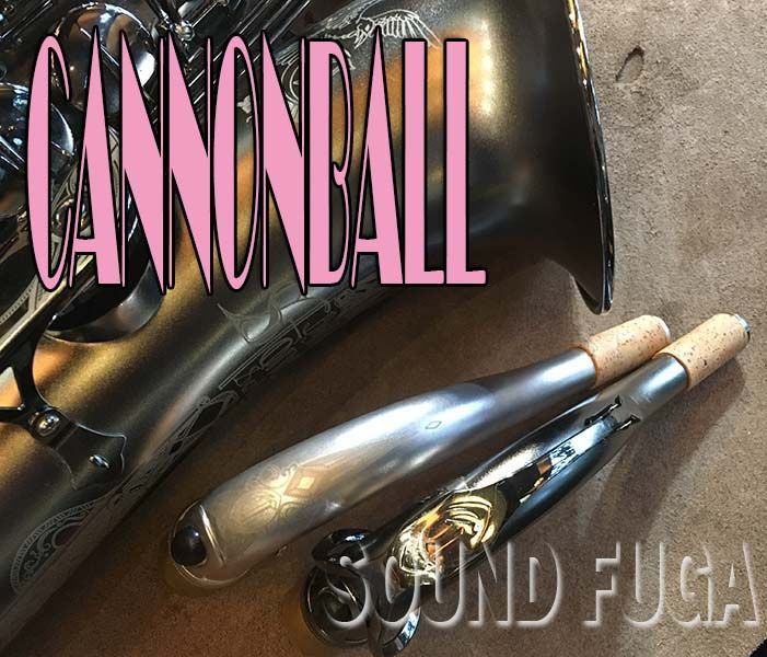 Cannonball T5-Bice B RAVEN テナーサックス CANNONBALL T5 BiceB 