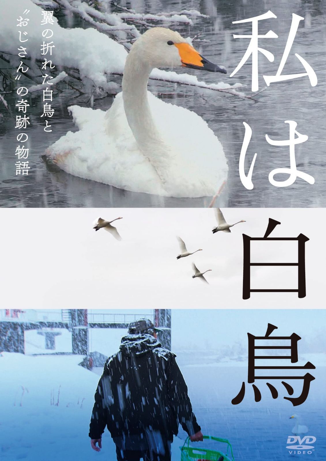 私は白鳥 [DVD]