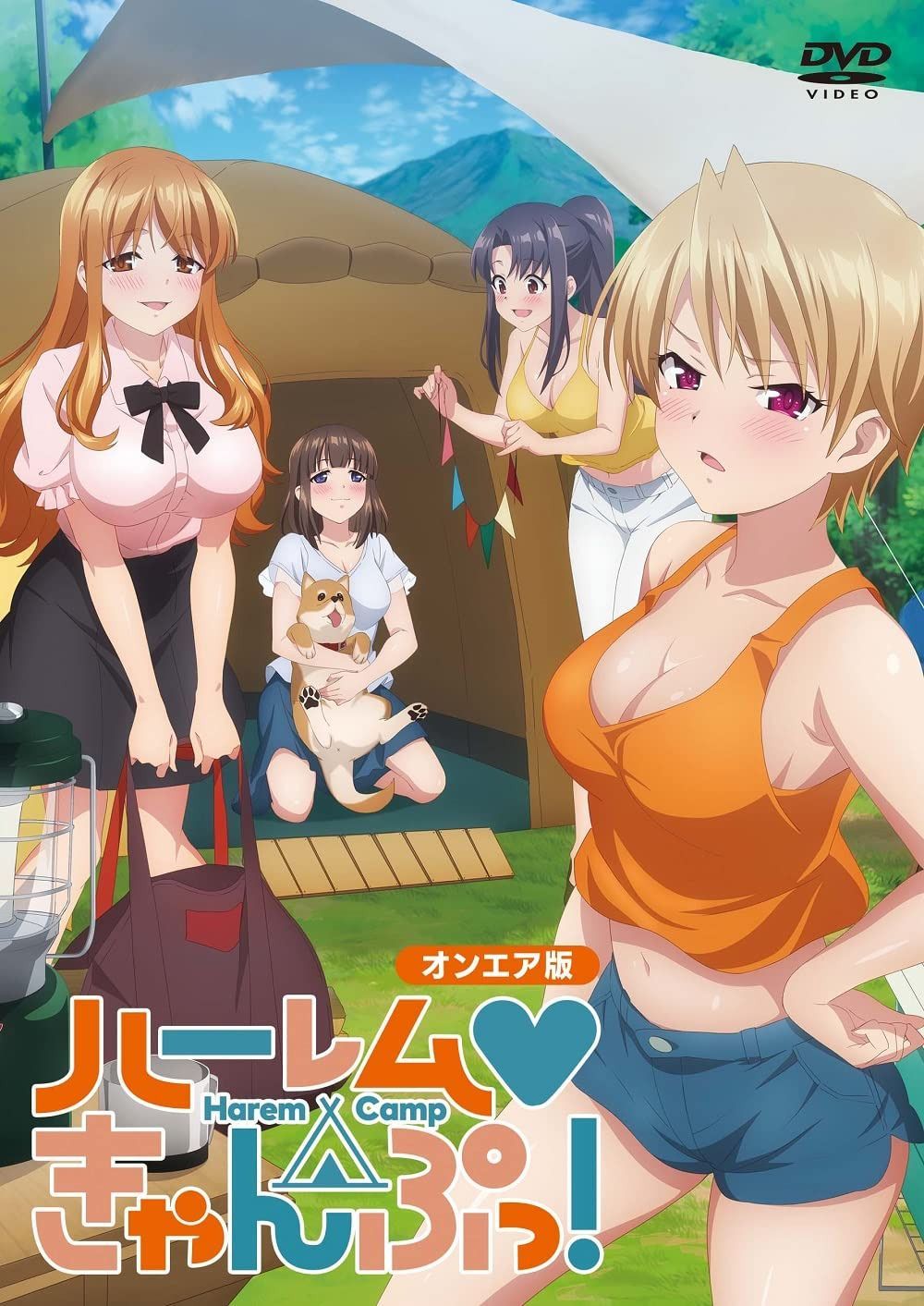 ハーレムきゃんぷっ！　オンエア版 [DVD]