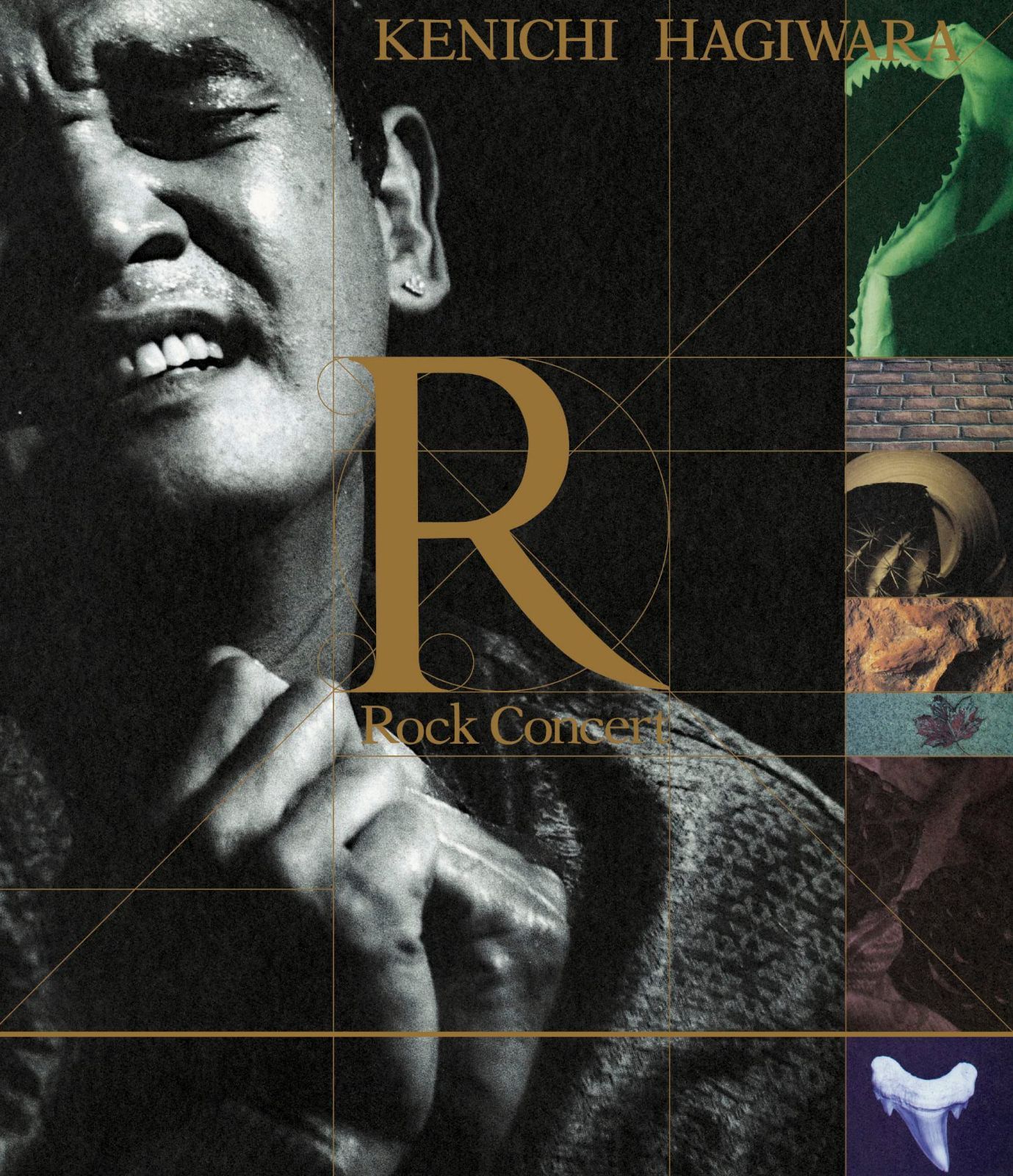 ロックコンサート -R- (Blu-ray) [Blu-ray]