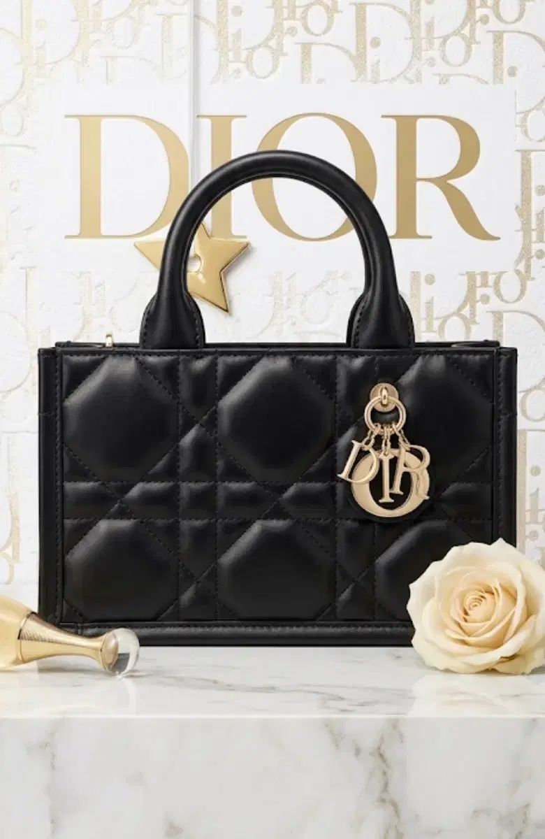 Dior ディオール カナージュ ブックトートバッグ スモール ブラック