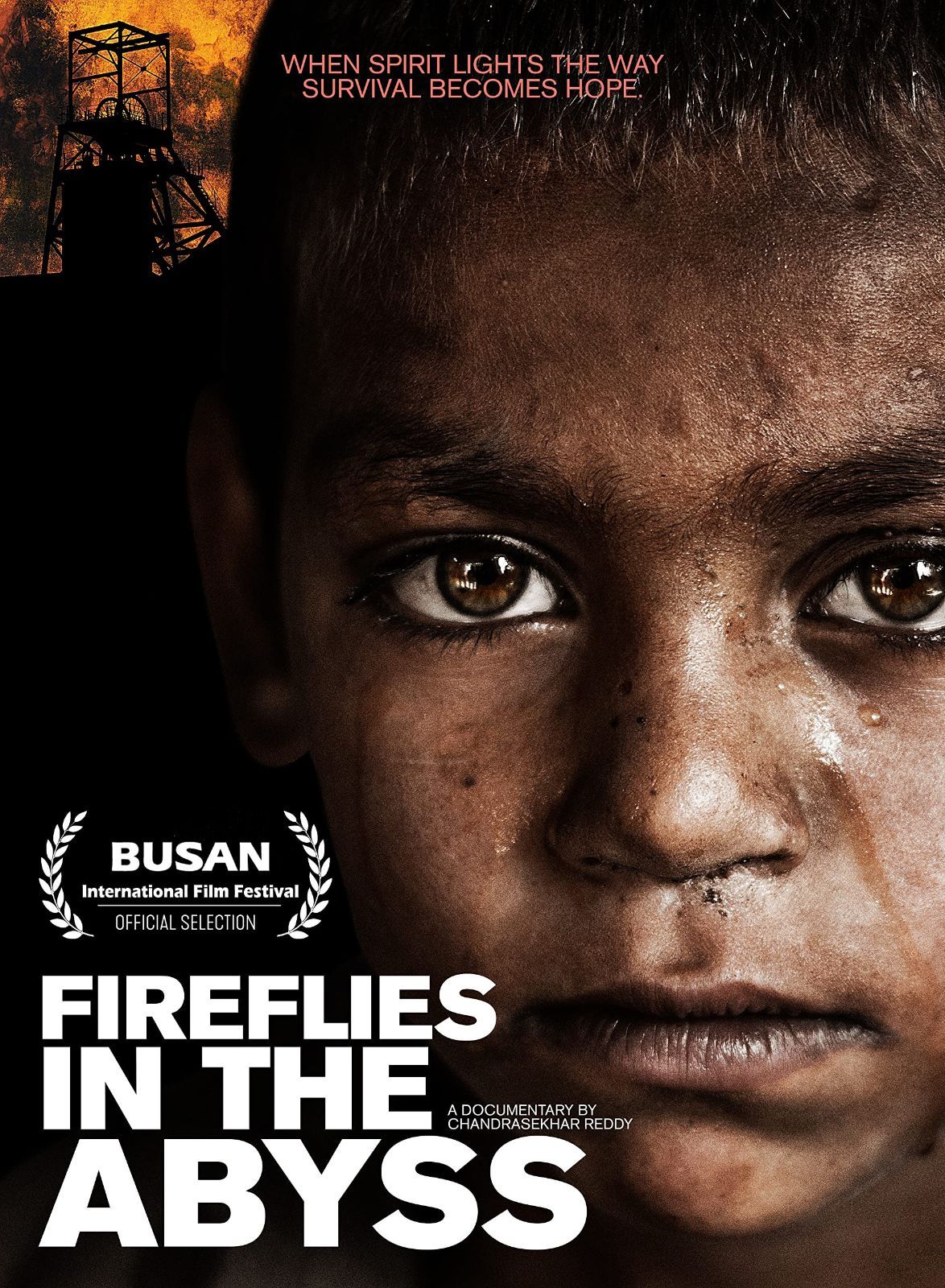 Fireflies In The Abyss [DVD]