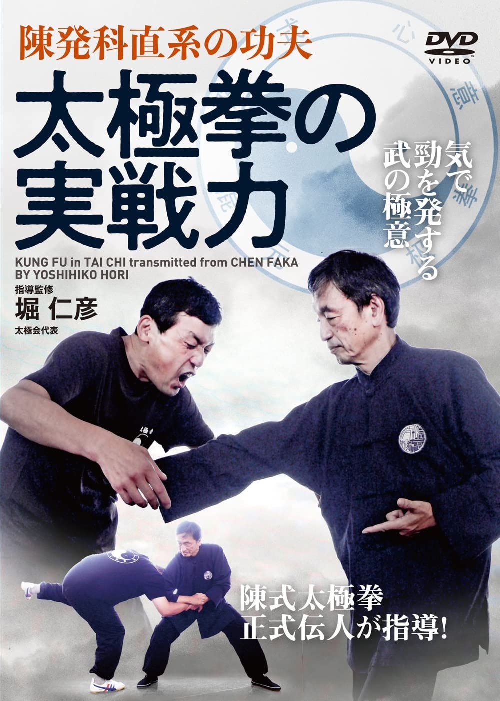 陳発科直系の功夫【太極拳の実戦力】気で勁を発する武術の極意 [DVD]