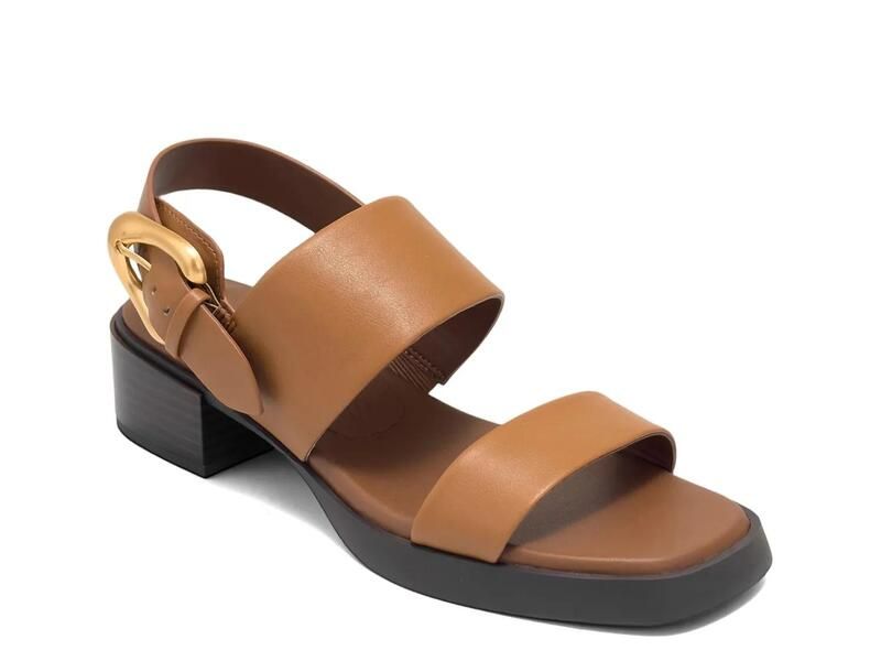 エアロソールズ レディース シューズ サンダル Aerosoles Dantay Sandal Dark Brown ブラウン