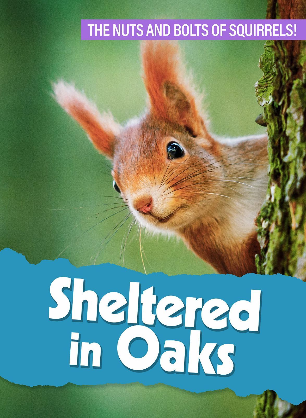 Sheltered In Oaks [DVD]