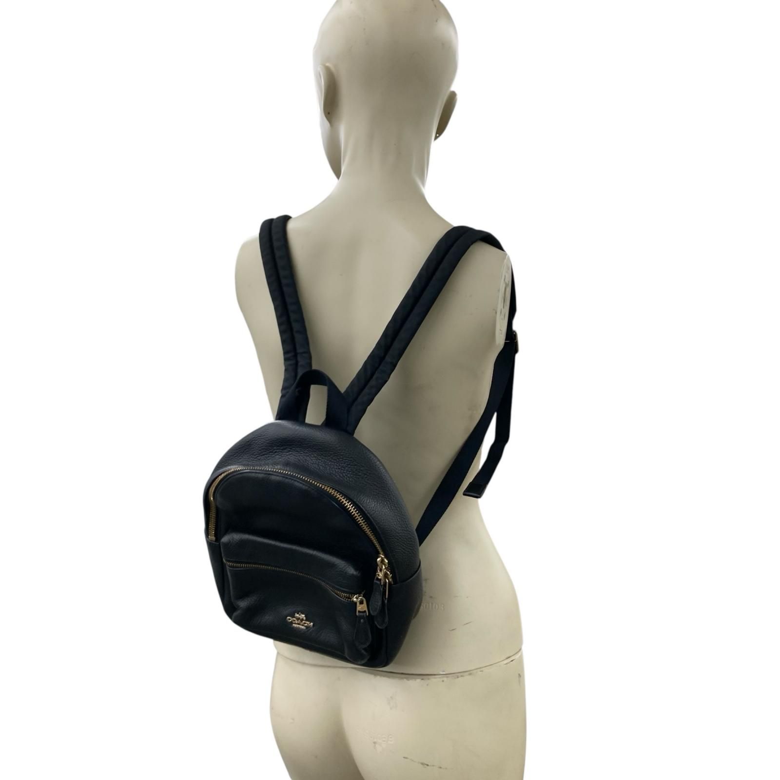 186005 現状品 COACH コーチ ミニバック ミニチャーリー レザー 