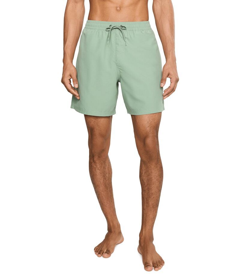 クイックシルバー メンズ 水着 ハーフパンツ・ショーツ Quiksilver Everyday Solid Volley 17 Lily Pad