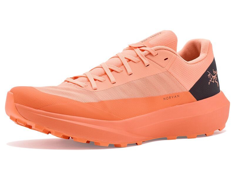 アークテリクス レディース シューズ ブーツ・レインブーツ Arcteryx Norvan LD 4 FlickerLumos