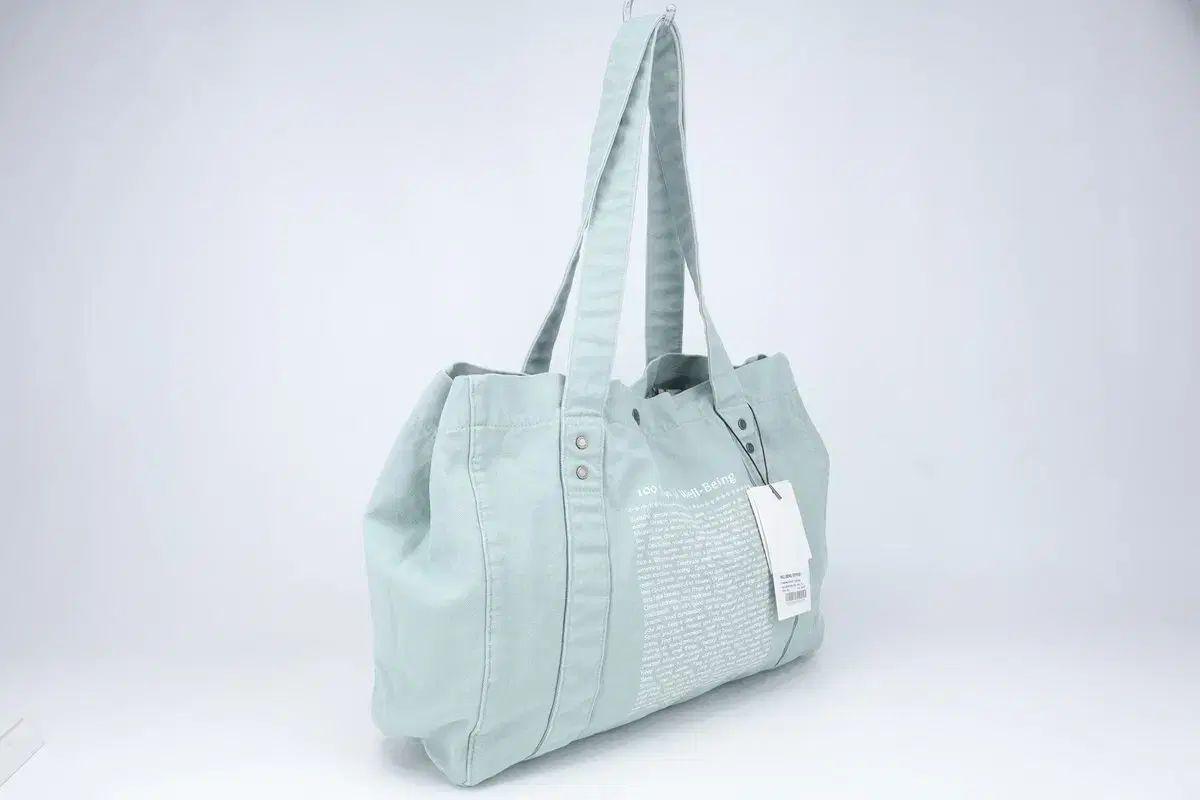 (新品) 웰빙익스프레스 26SS ウォッシュ コットン トートバッグ ミント