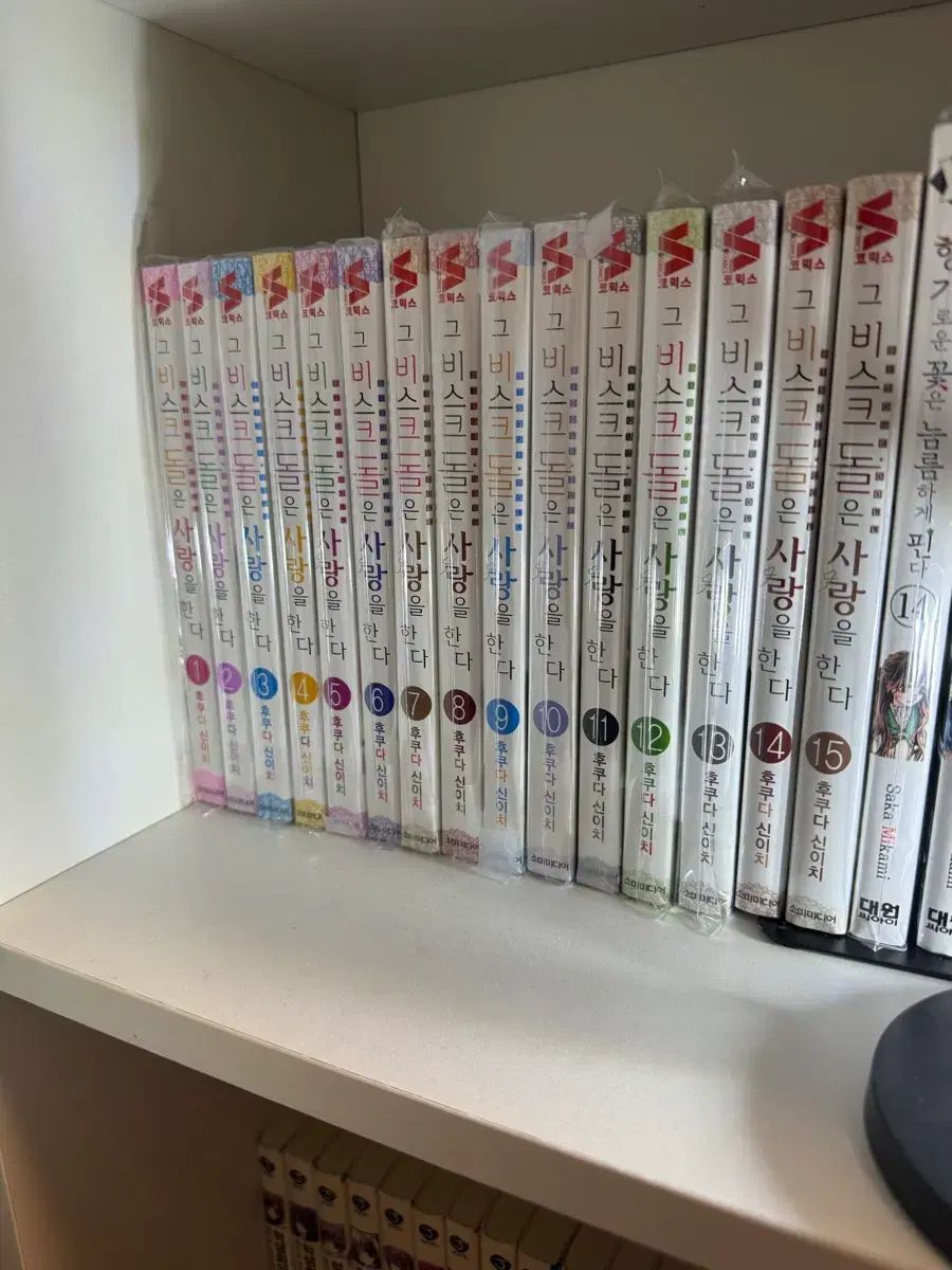 それ ビスクドールは 愛を する 全巻