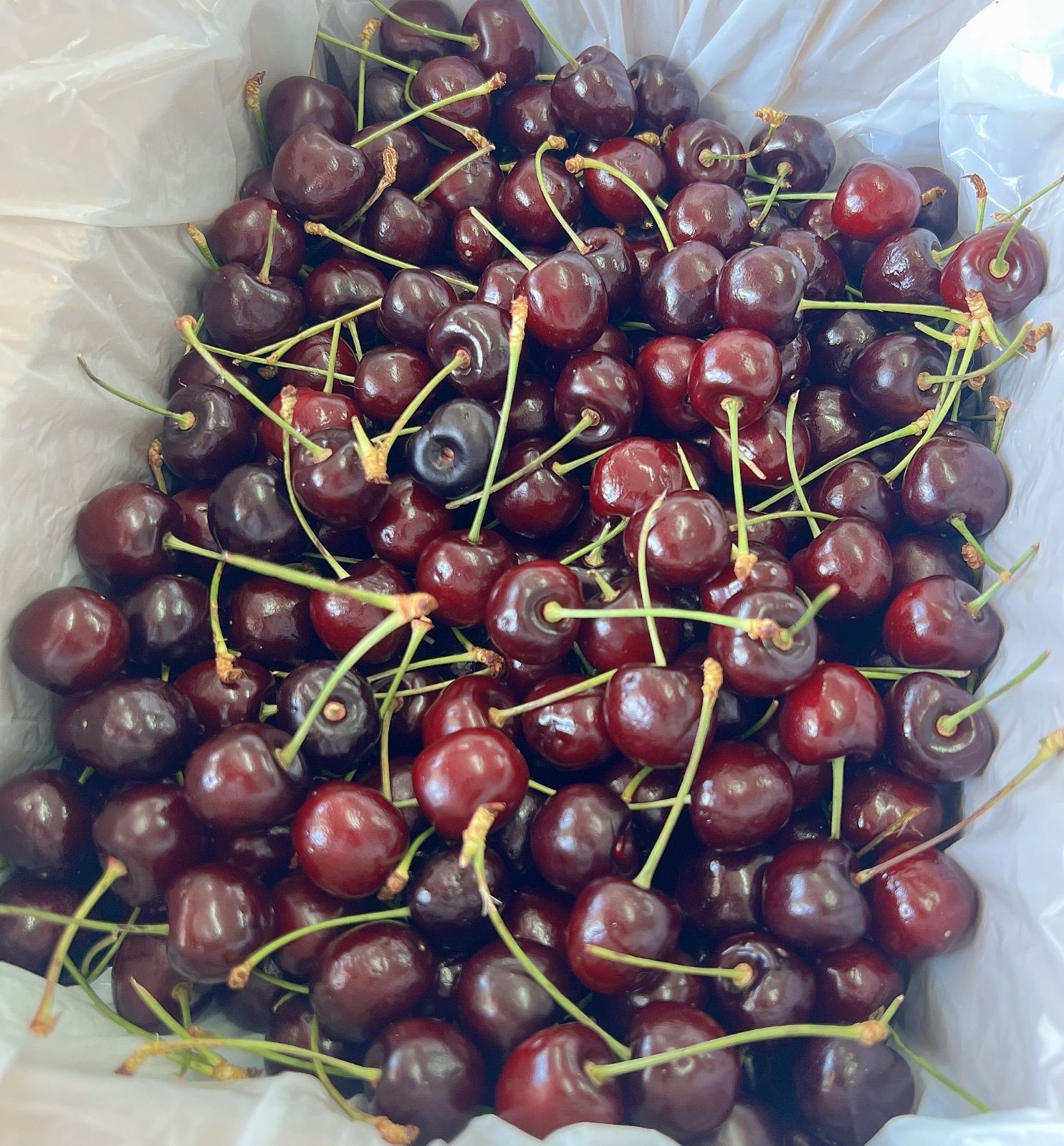高糖度24.55度！プレミアムアメリカンチェリー 2kg - メルカリ