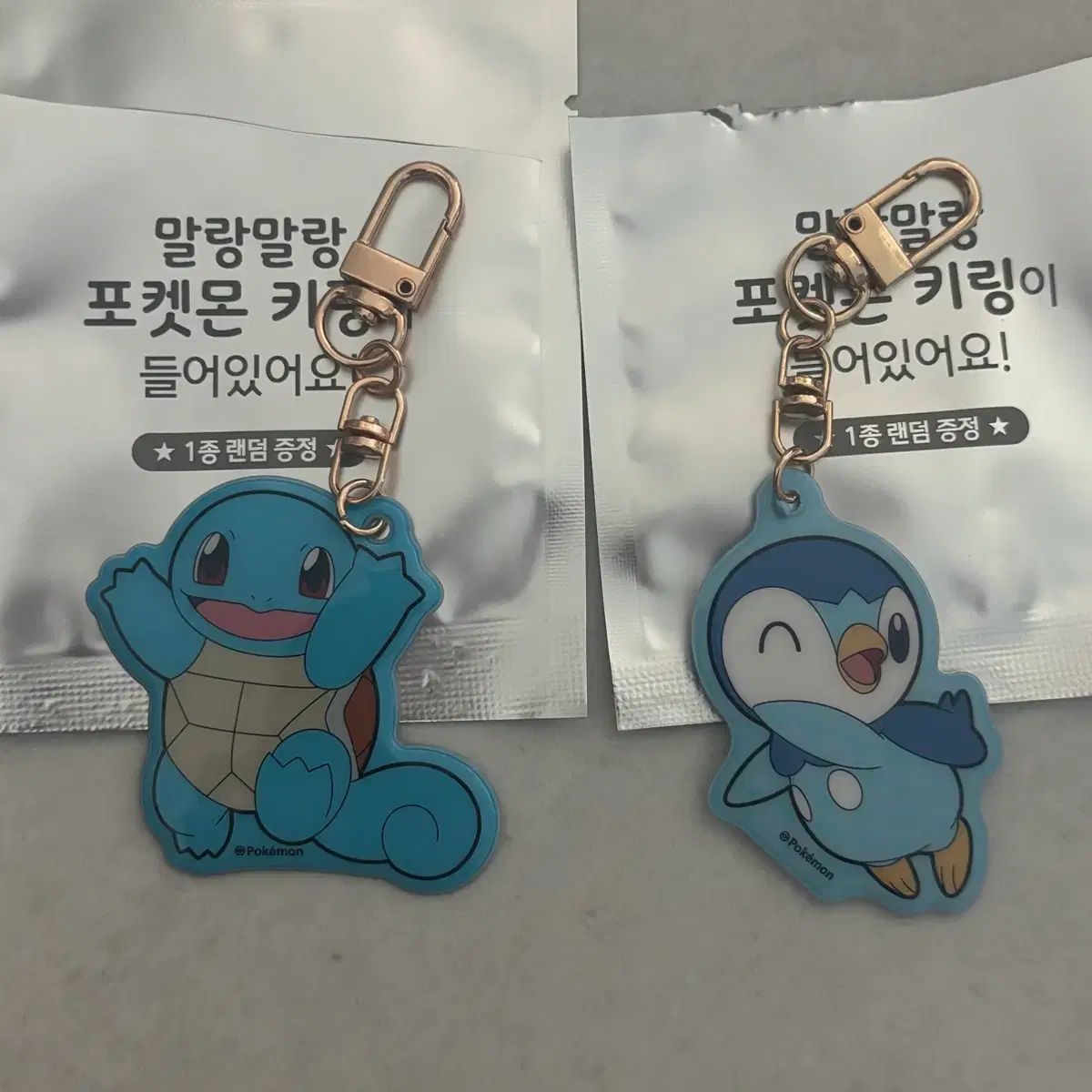 カメール ゼニガメ ポケモン ポケットモンスター 海外限定ポケモン 