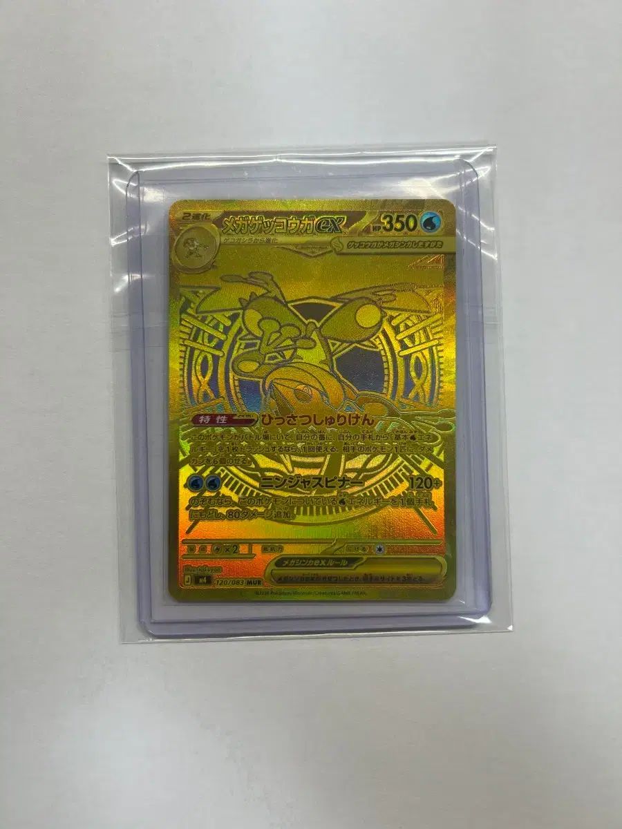 一般版 MEGA カエル忍者 mur 出品