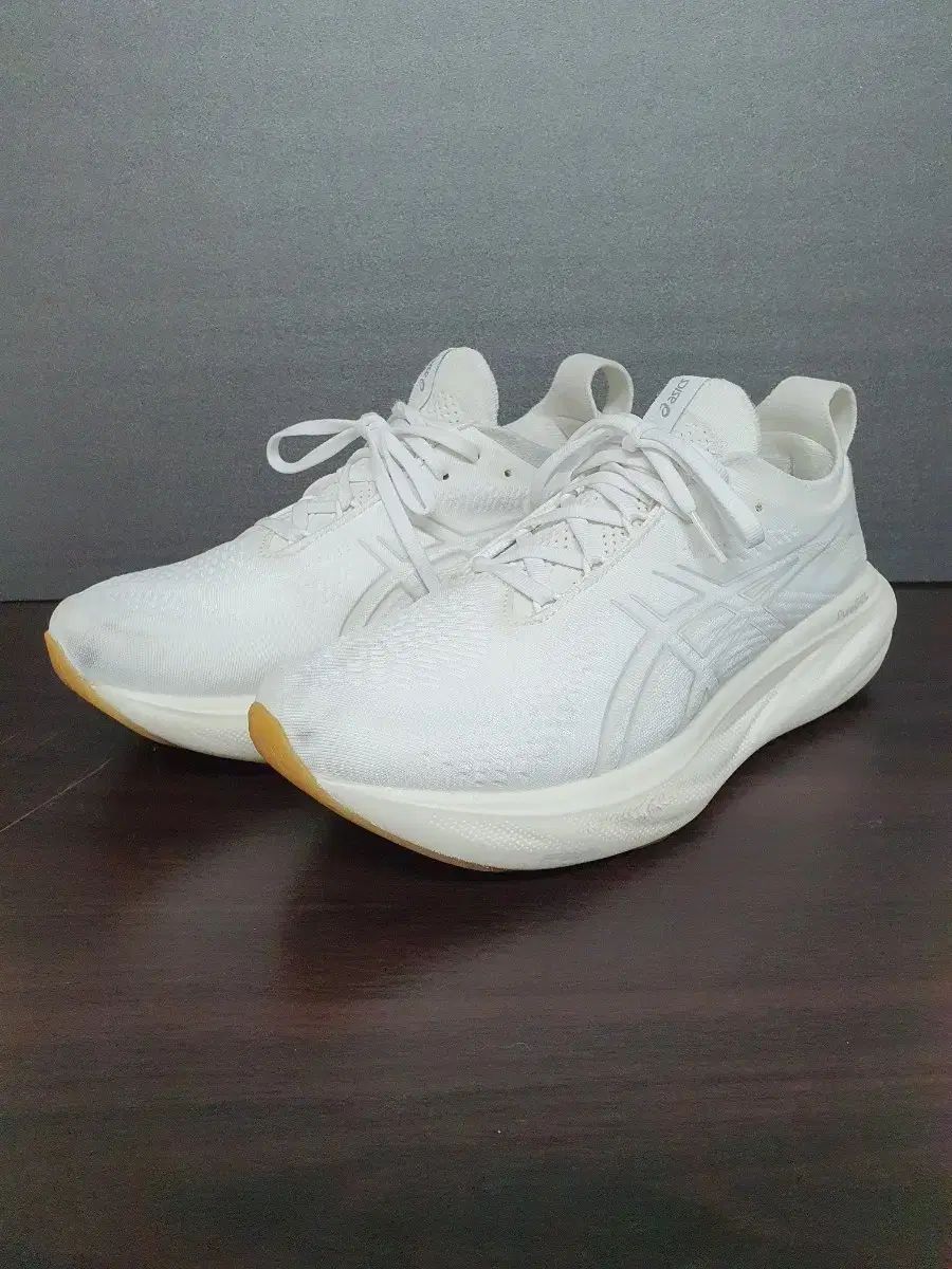 アシックス ゲル ニンバス 25 ランニングシューズ 255mm