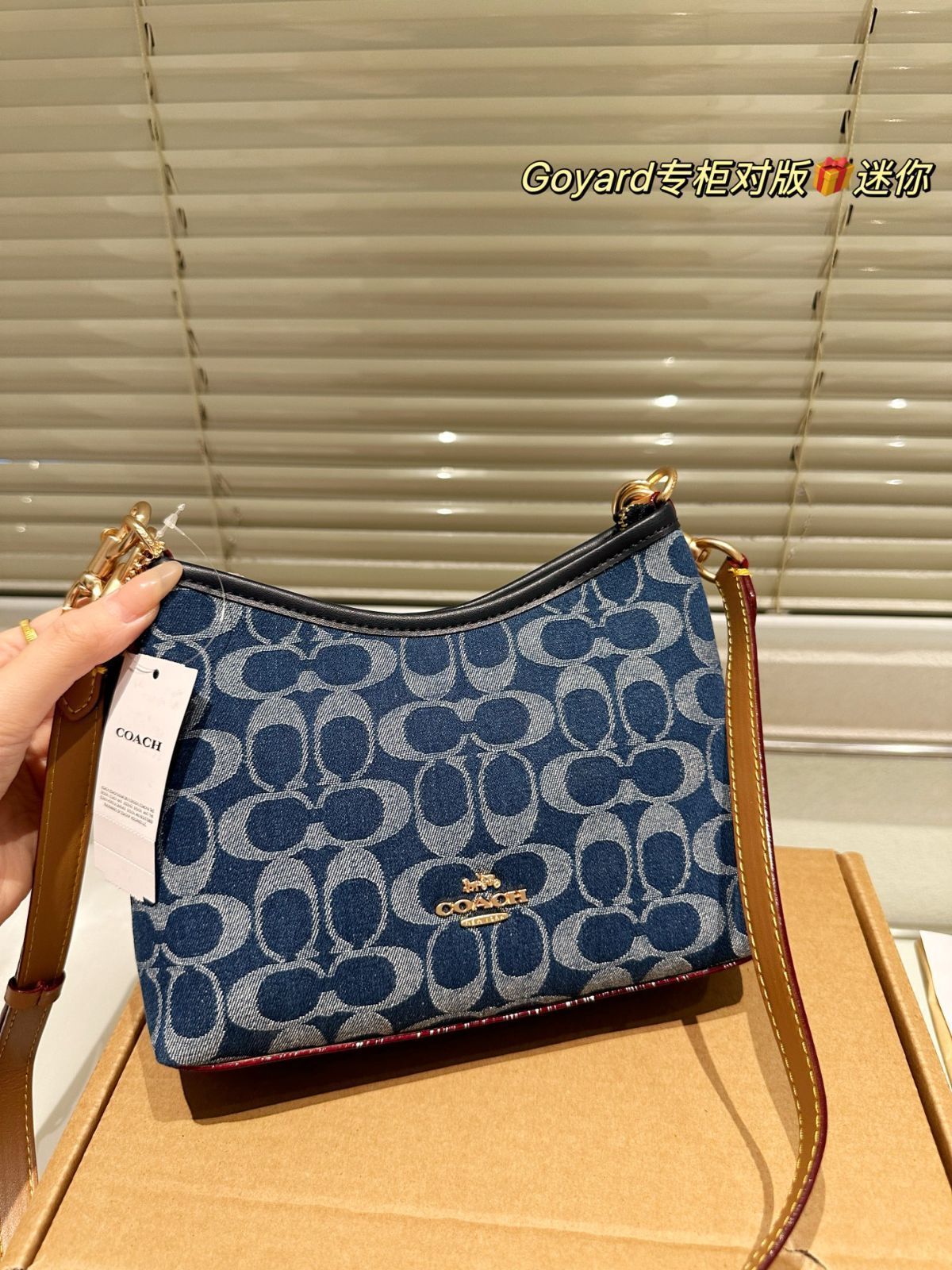 【今日特価】COACH Mini Rogue Bag（クーチ ミニ ローグ バッグ）