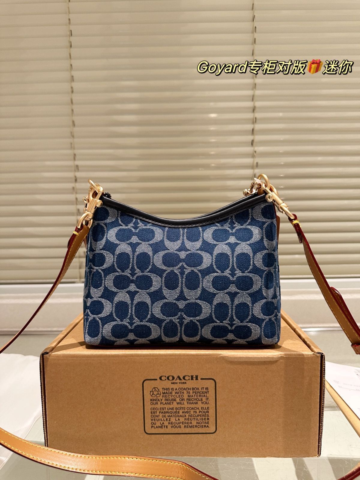 【今日特価】COACH Mini Rogue Bag（クーチ ミニ ローグ バッグ）