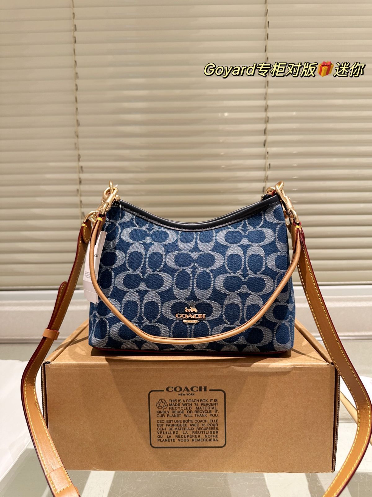 【今日特価】COACH Mini Rogue Bag（クーチ ミニ ローグ バッグ）