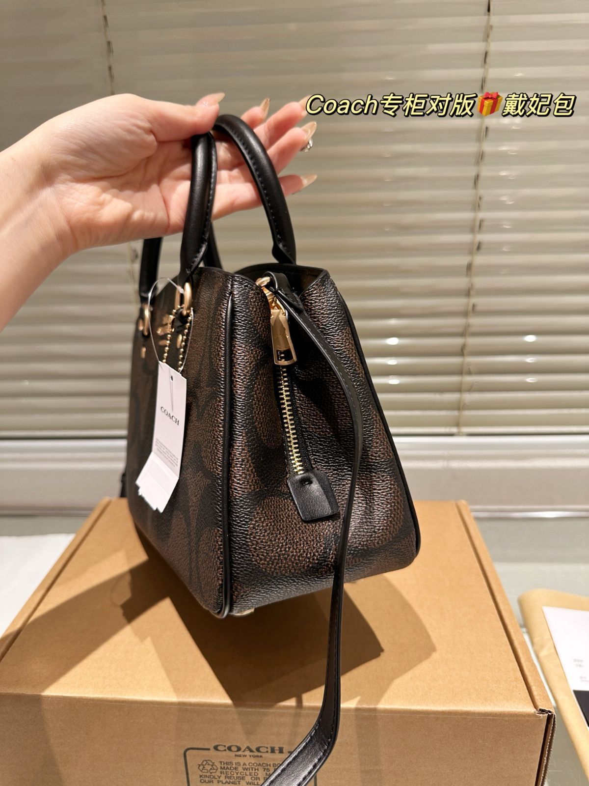 【今日特価】Coach New Lady Dior Bag コーチ ニュー レディー ディオール バッグ