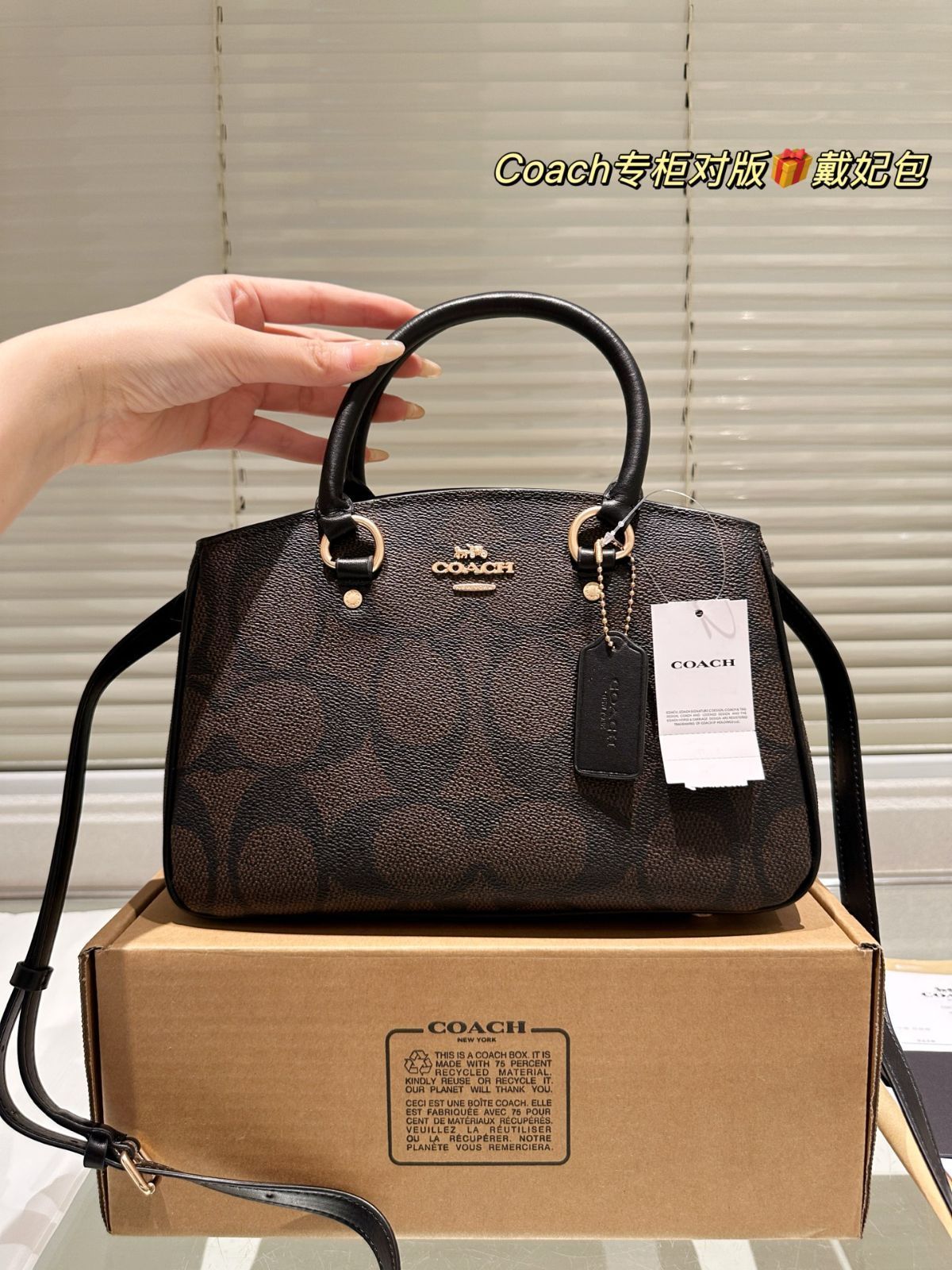【今日特価】Coach New Lady Dior Bag コーチ ニュー レディー ディオール バッグ