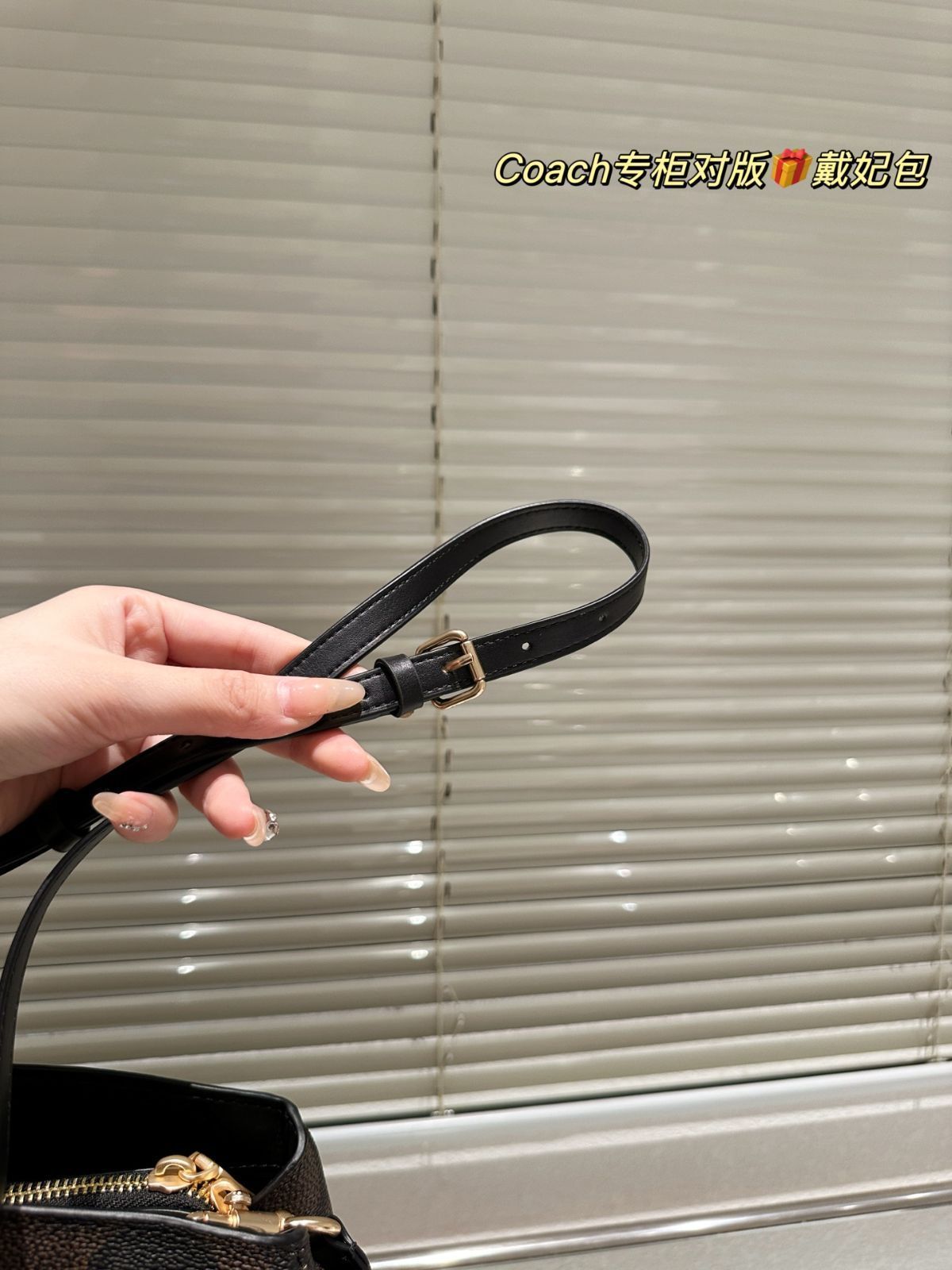 【今日特価】Coach New Lady Dior Bag コーチ ニュー レディー ディオール バッグ
