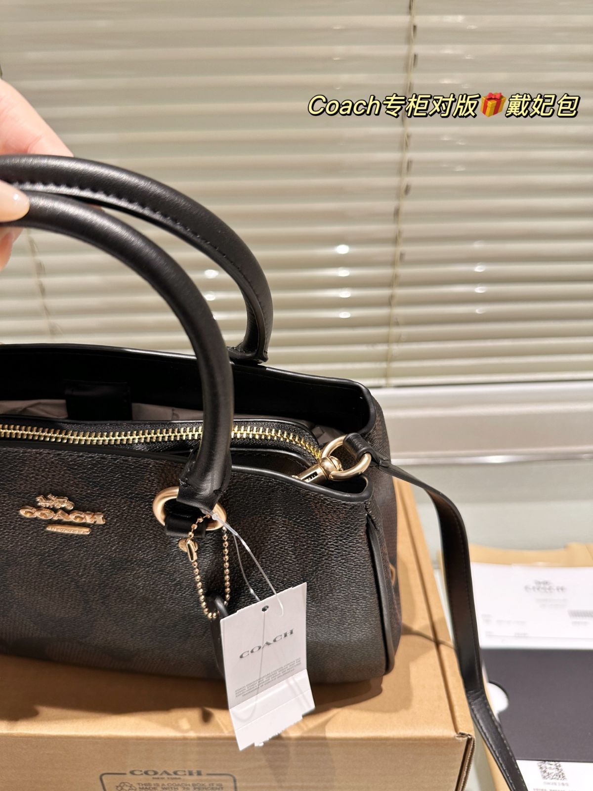 【今日特価】Coach New Lady Dior Bag コーチ ニュー レディー ディオール バッグ