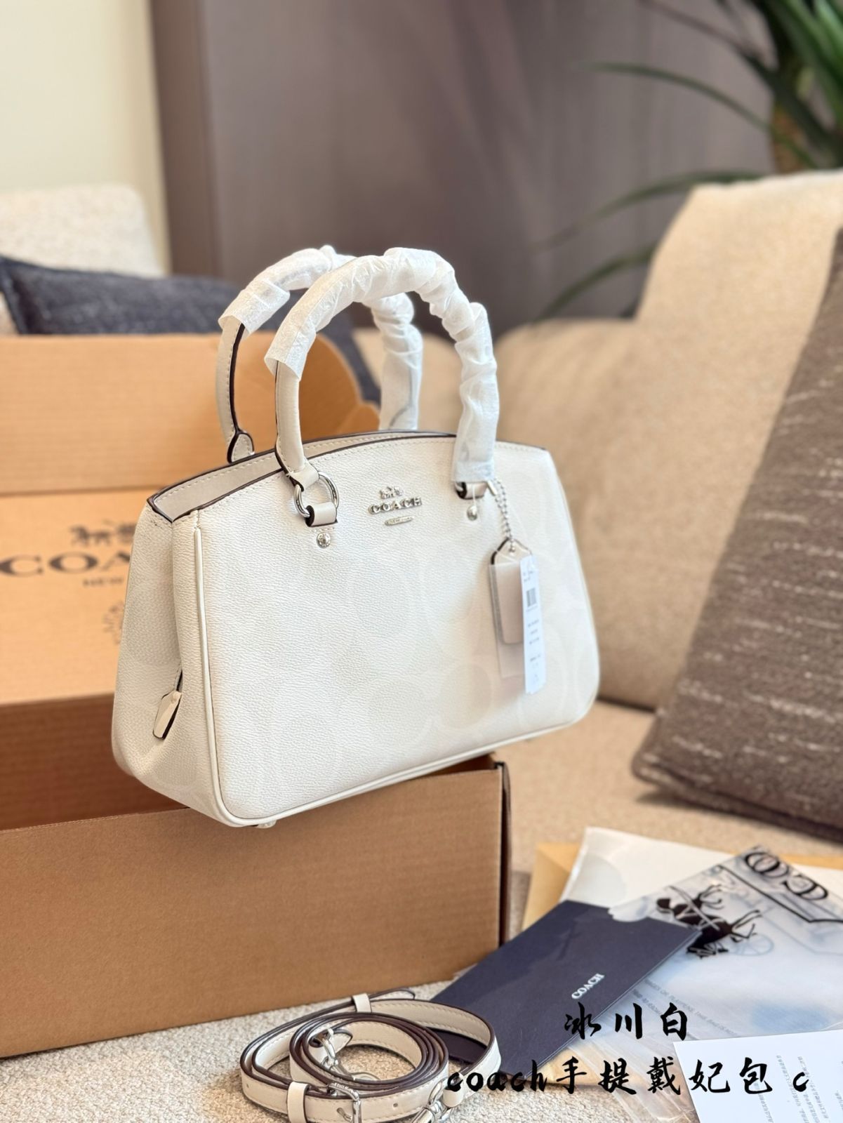 【今日特価】Coach Lady Dior Bag コーチ レディー ディオール バッグ