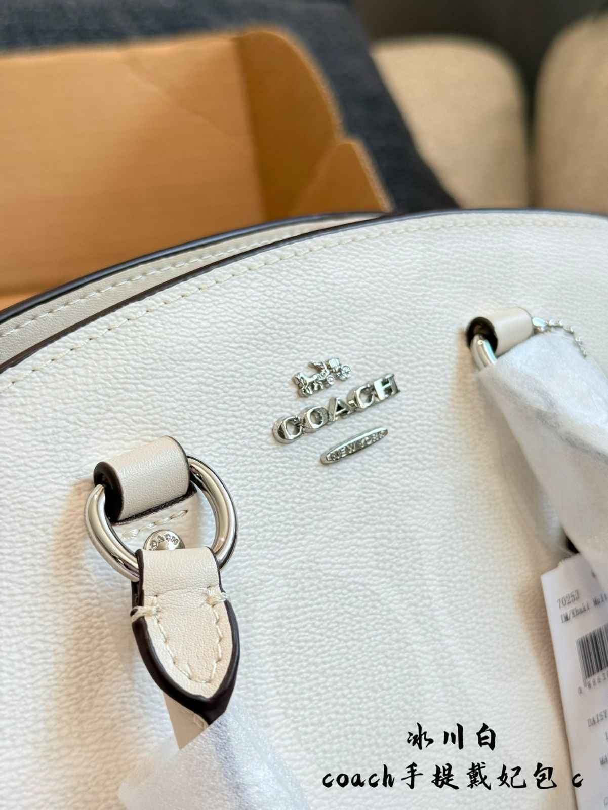 【今日特価】Coach Lady Dior Bag コーチ レディー ディオール バッグ