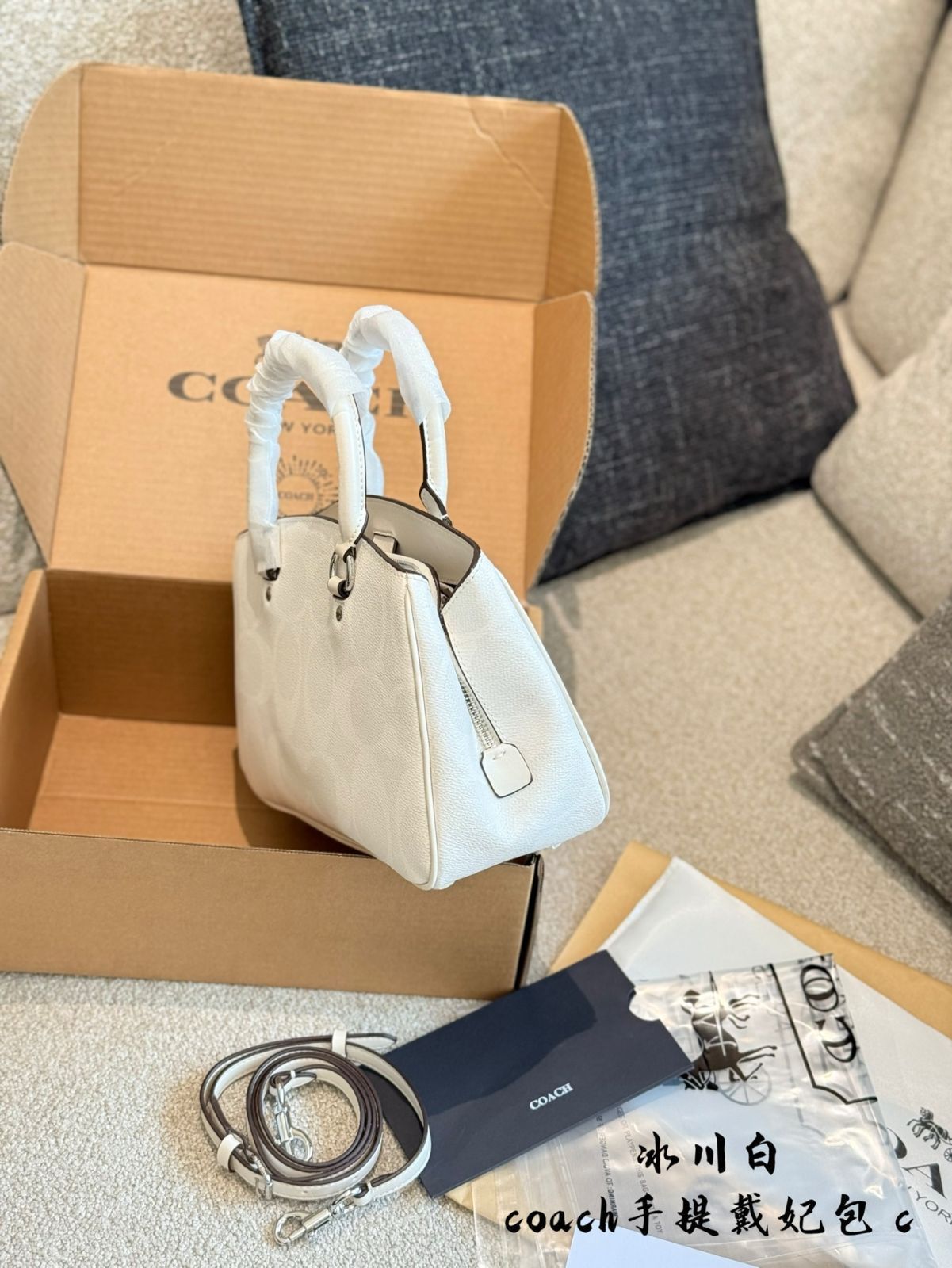 【今日特価】Coach Lady Dior Bag コーチ レディー ディオール バッグ