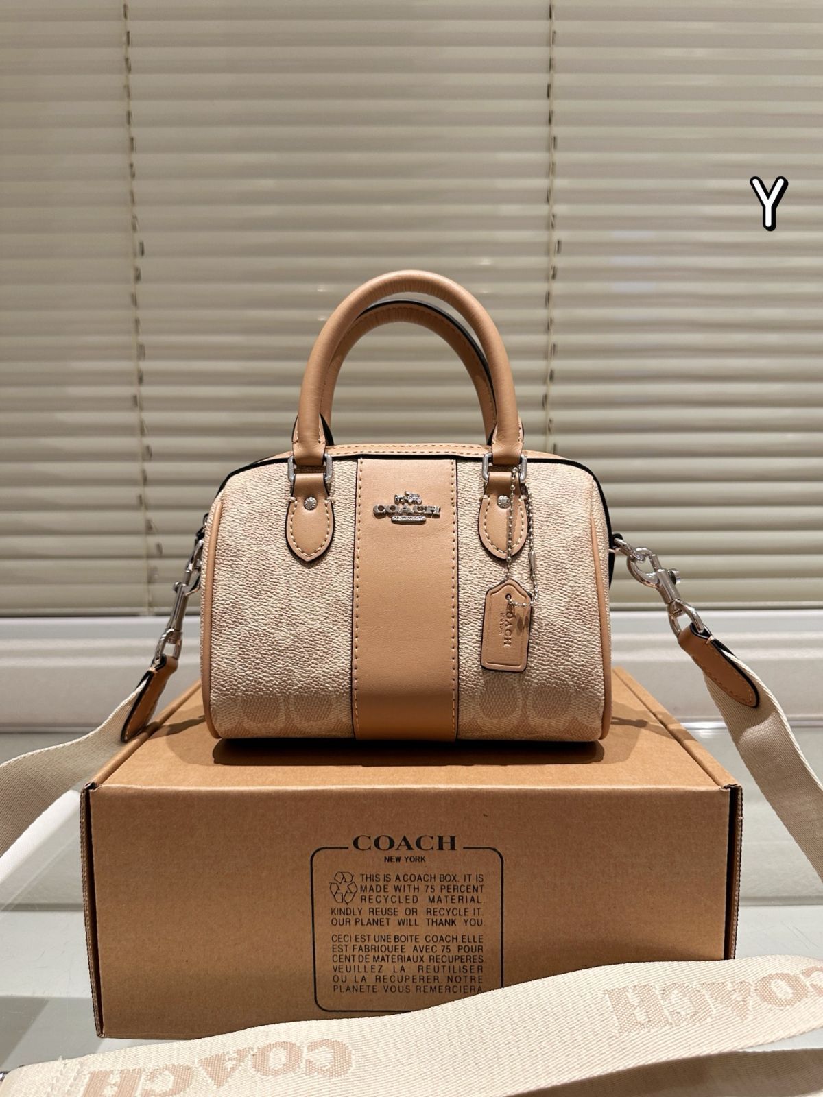 【今日特価】Coach Mini Rowan ミニローエン ピローバッグ