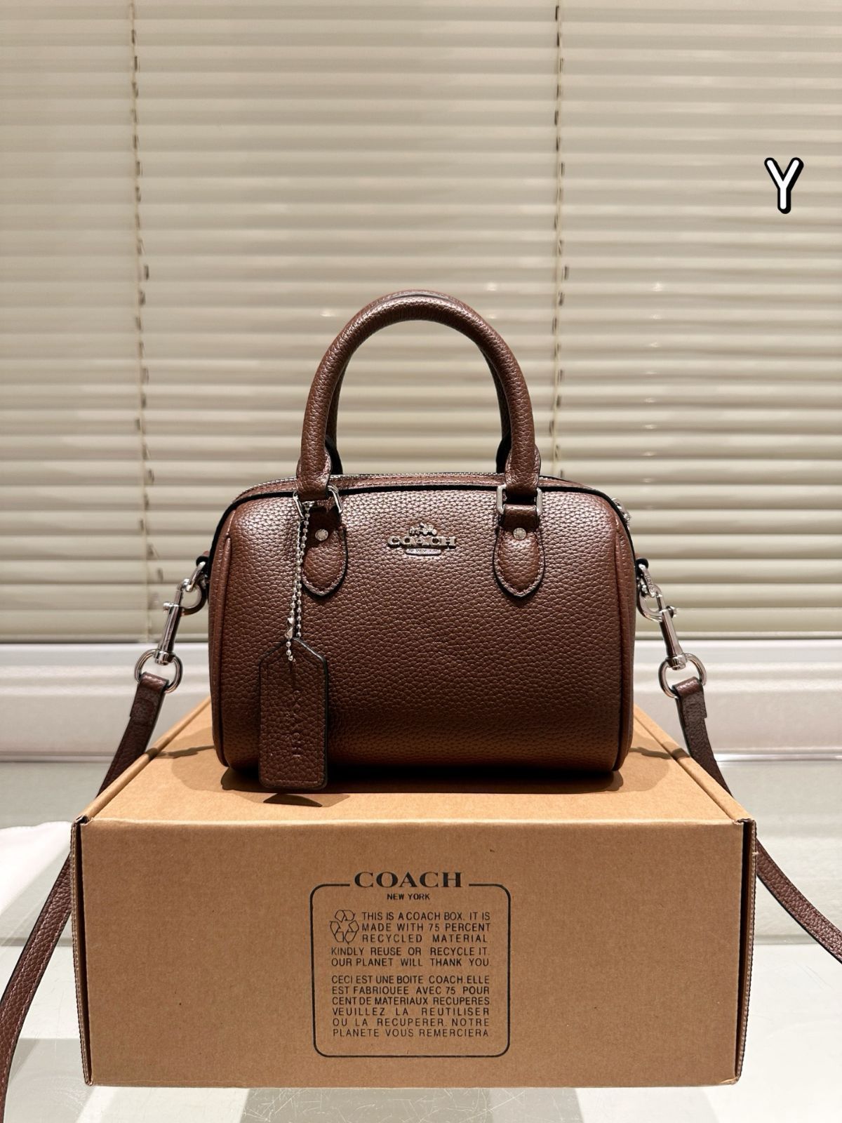【今日特価】Coach Mini Rowan ミニローエン ピローバッグ