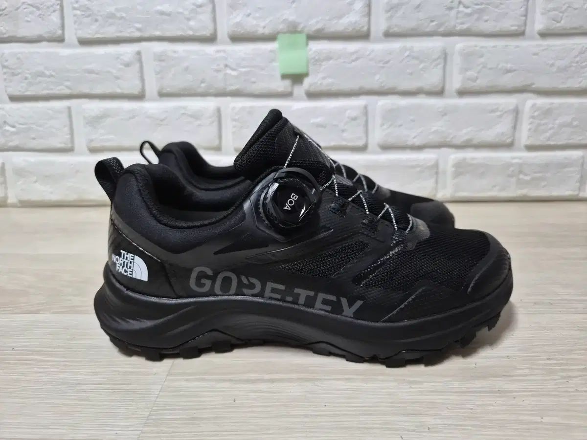 THE NORTH FACE GORE-TEX BoA トレッキングシューズ 255mm