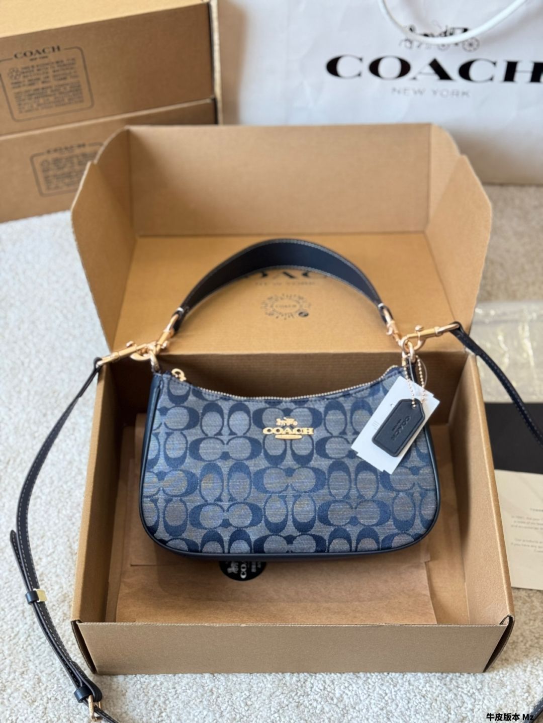 【今日特価】COACH Teri シリーズ アンダーアームバッグ 24×13cm サザエスキンプレス-WTO輸入1