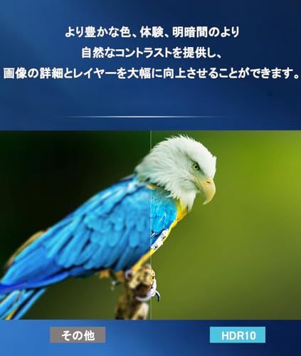 TV ボックス スマート マルチメディアプレイヤー Android 10 2+16G TFカード/USBメモリ/外付 HDMI/AVコンポーネント出力 2+16Gt 5ec260fc TV ボックス スマート マルチメディアプレイヤー Android 10 2+16G TFカード/USBメモリ/外付 HDMI/AVコンポーネント出力 2+16Gt 5ec260fc