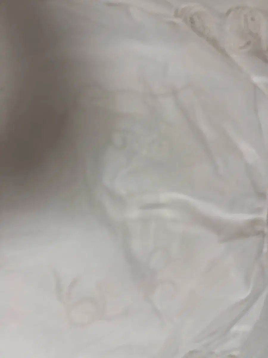 ザラ 白 刺繍 ブラウス 新品