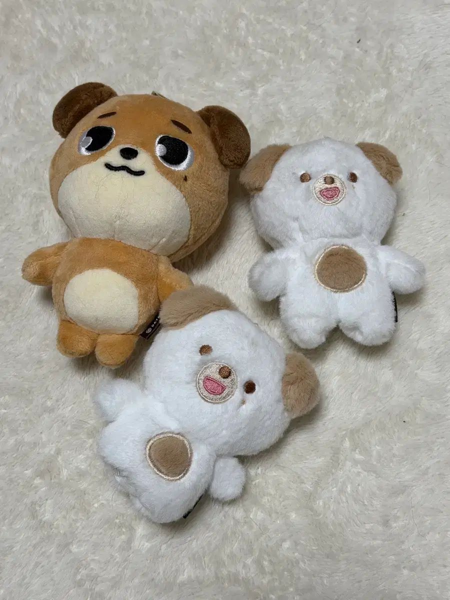 DAY6（デイシックス）のお金 まとめ
