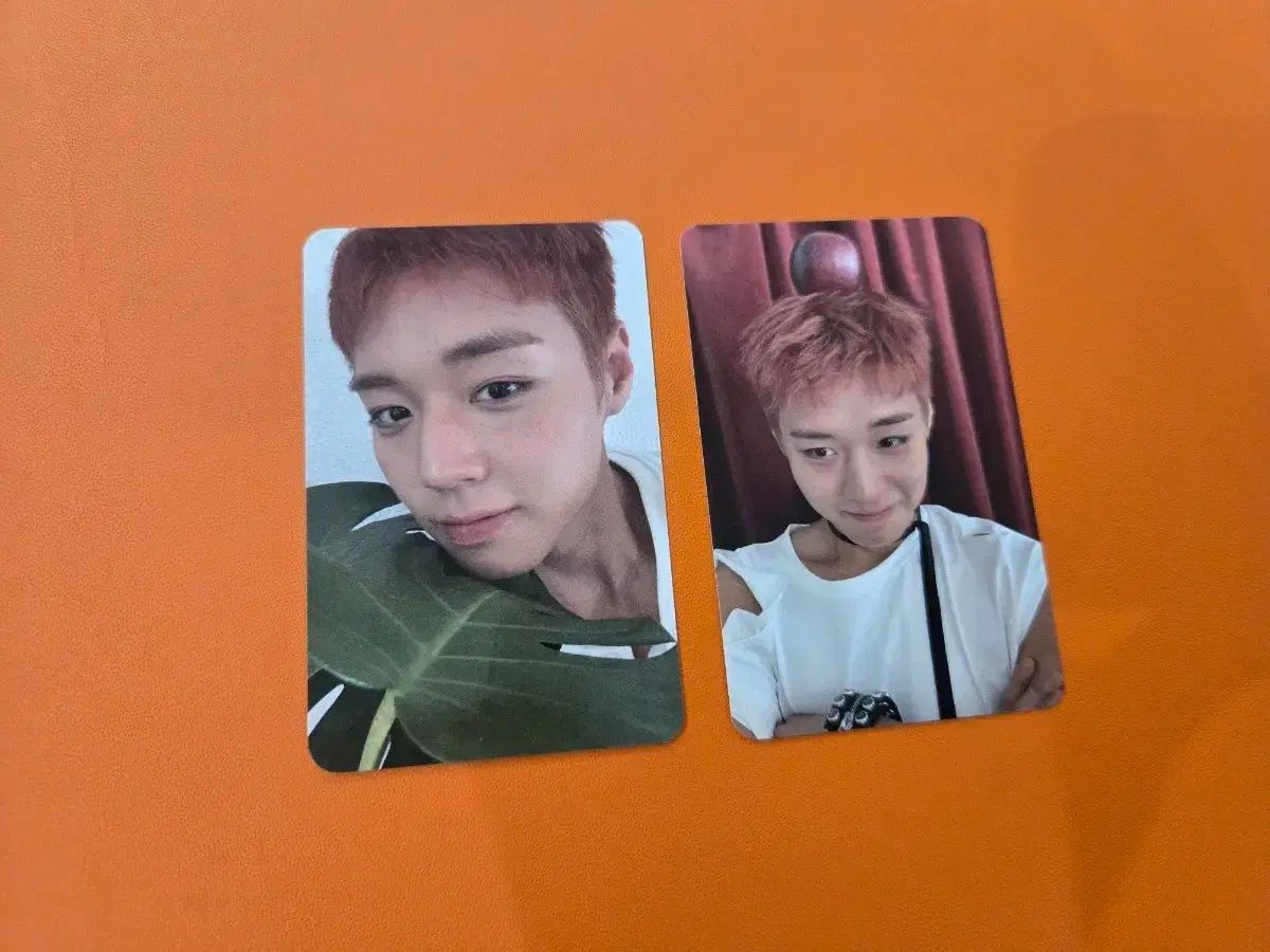 パク・ジフン(PARK JIHOON) 公開放送 サノク トレカ スローガン 6,452円