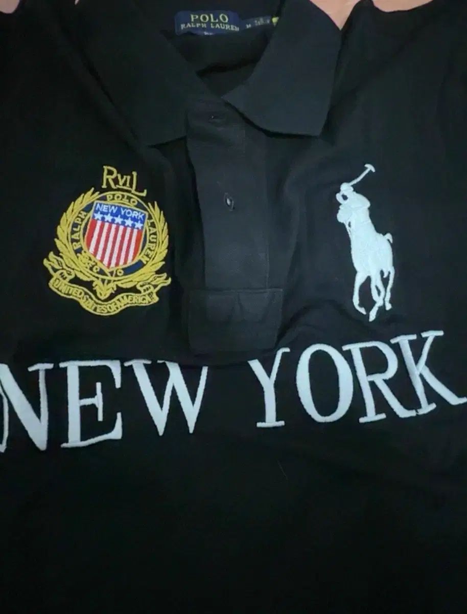 ポロ ビックポニー NEW YORK チーフキーパー カラーTシャツ