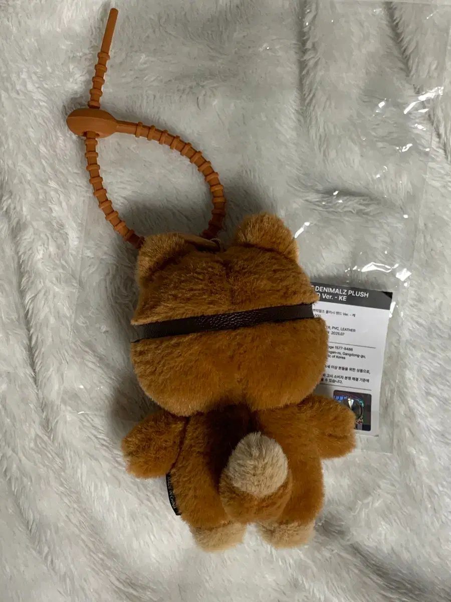 DAY6 デニマルズ(DENIMALZ) タンニング ケ プチマルズ PLUSH ヨンケイ